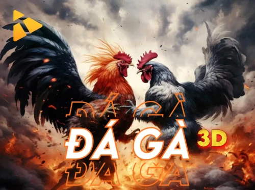 NET88 Đá Gà 3D